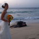 Image for article titled World's Biggest Sea Turtle Crashes Beach Wedding to Lay Eggs